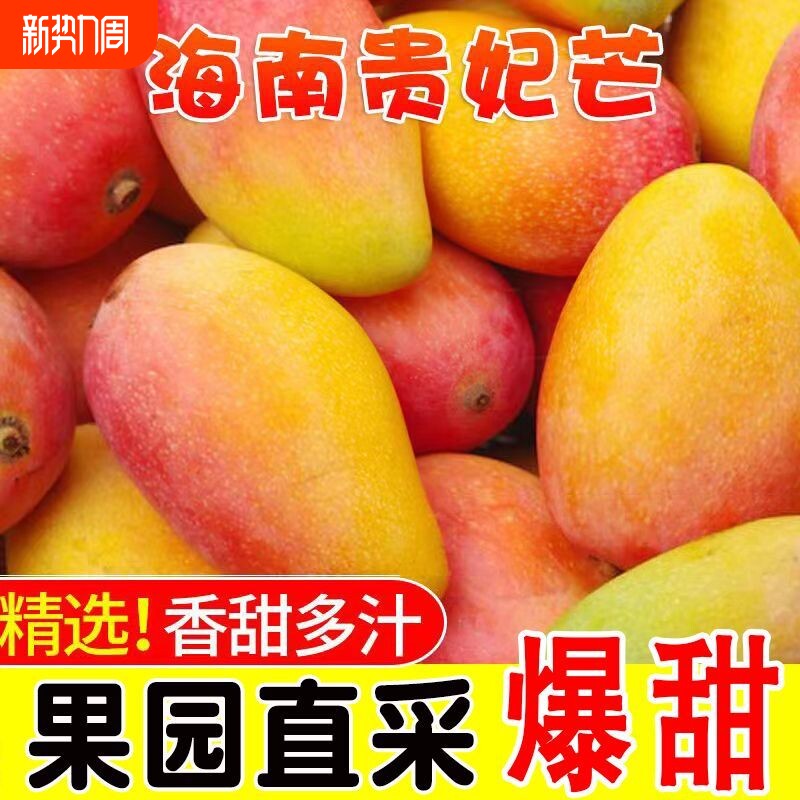 海南贵妃芒新鲜芒果水果当季整箱树上熟红金玉青煌大台辣椒芒