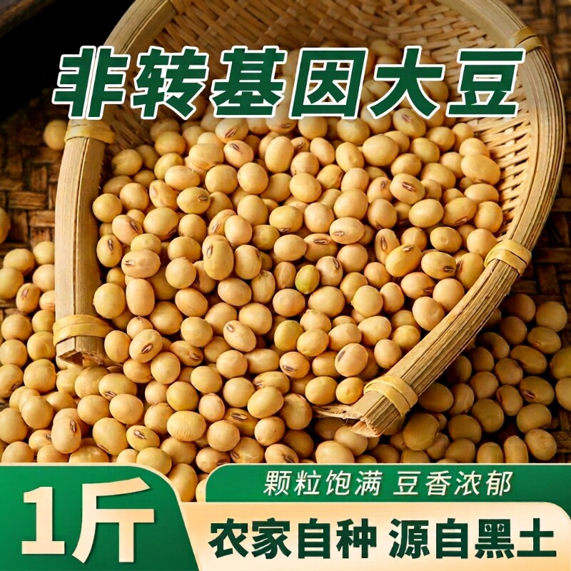 三彩侬新豆东北农家黄豆可生豆芽打豆浆粗粮杂粮1/2/5/10/5