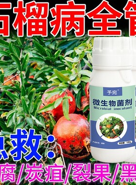 石榴微生物菌剂专用杀虫授粉增瓜灵白粉霜霉枯萎疫病复合水溶肥料