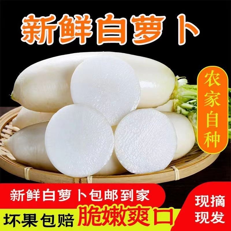 新鲜白萝卜装新鲜蔬菜农家自种甜白罗卜脆嫩多汁产地直发包邮当季,水产肉类/新鲜蔬果/熟食,萝卜/胡萝卜,淘宝优惠券,粉丝福利购,淘宝优惠卷