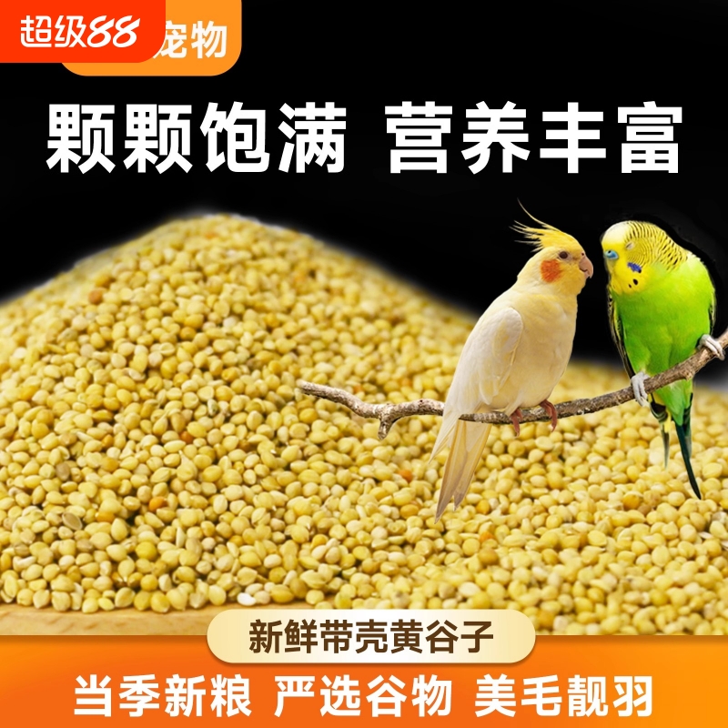 纯天然无公害黄谷子鸟粮
