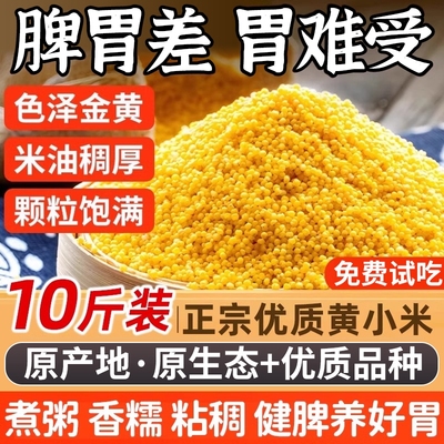 黄小米新米农家优质小黄米五谷杂粮糯沁州黄小米早餐煲粥米油丰厚