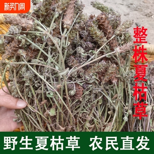 野生夏枯球夏枯草球批发天然新鲜夏姑草食用牛抵头白毛夏桔草晒干