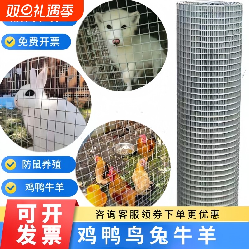 建筑网拦鸡网隔离防护网铁网格