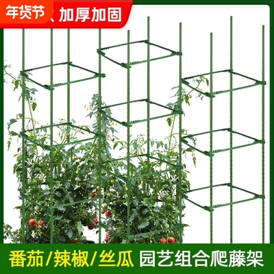 番茄架子爬藤架蔬菜架杆种菜支撑盆栽庭院固定西红柿黄瓜种菜支架
