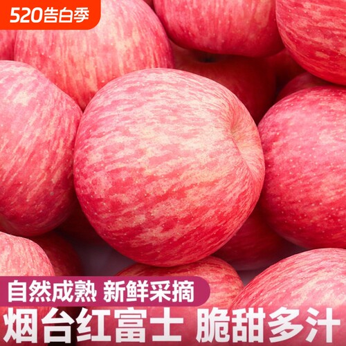烟台红富士栖霞苹果一级果苹果小新鲜水果整箱应季包邮脆甜