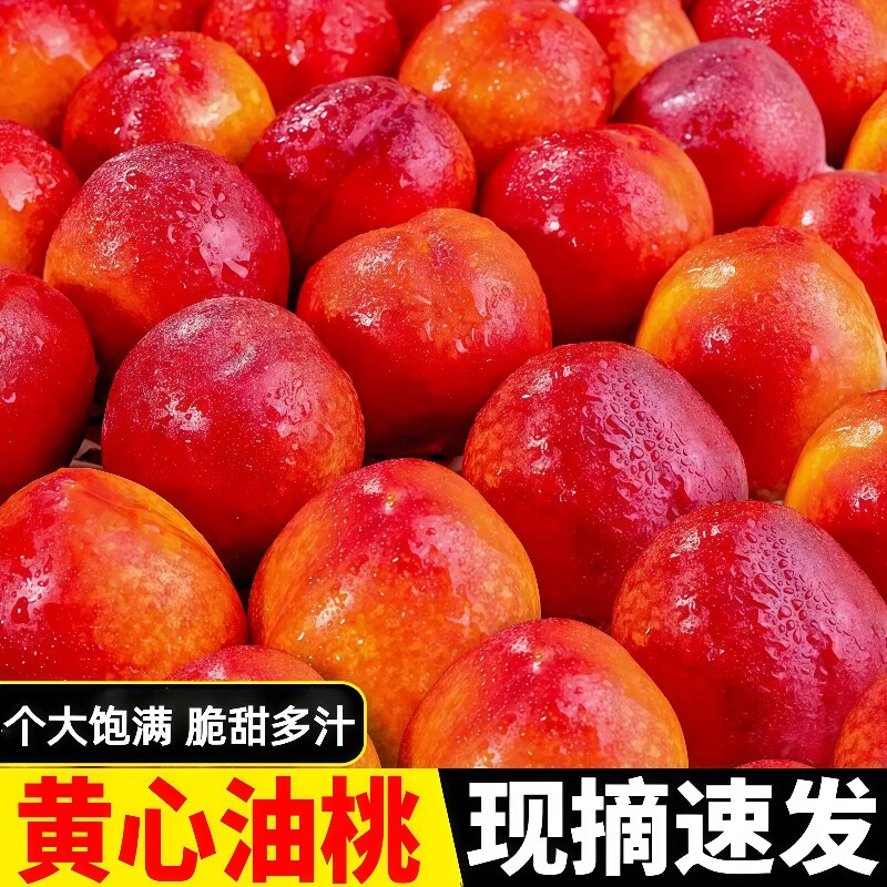山东黄心油桃现摘新鲜脆甜应季水果整箱包邮5斤孕妇蜜桃时令大桃