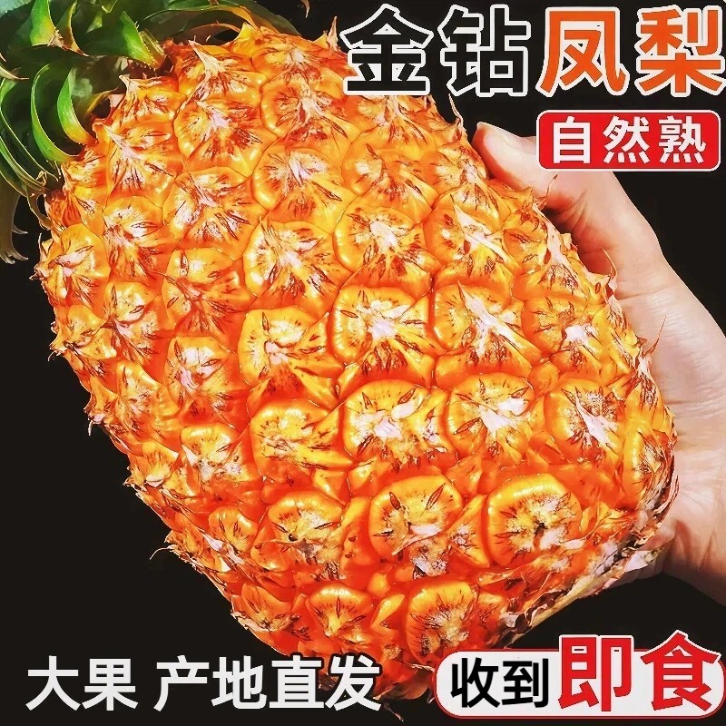 海南金钻凤梨新鲜水果树上熟当季整箱手撕香水菠萝大果热带西瓜
