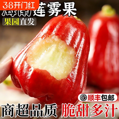 【5斤莲雾果钜惠】脆甜多汁