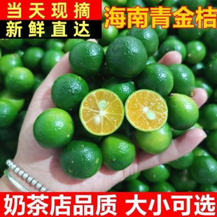 海南特产青金桔柠檬小青柠新鲜水果火锅蘸料调百香果青桔现摘清香