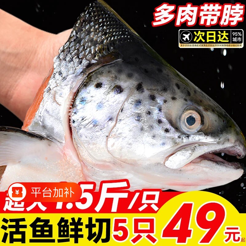挪威三文鱼头新鲜冷冻超大深海鱼头三文鱼边角料人吃烧烤煲汤海鲜