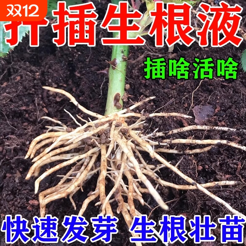 快速生根液植物通用扦插月季多肉富贵竹蝴蝶兰水培移栽专用强力P