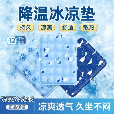 【各大商超同款】夏季冰凉垫坐垫