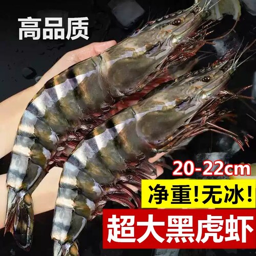 黑虎虾超大新鲜老虎虾鲜活速冻特大海虾海鲜水产冷冻巨型深海海捕