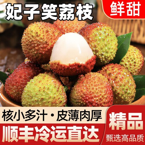 正宗现摘妃子笑荔枝顺丰冷链发货