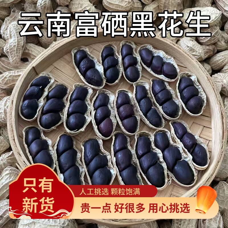 富硒黑花生带壳2025云南普洱特产晒干生熟花生米新货黑皮花生米