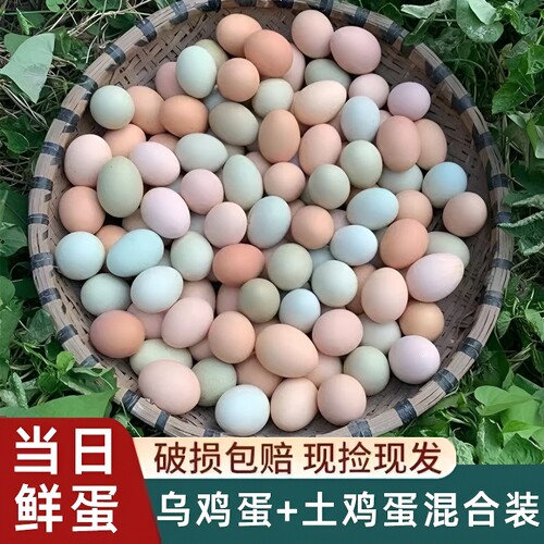 新鲜混合绿壳鸡蛋|超3000次加购