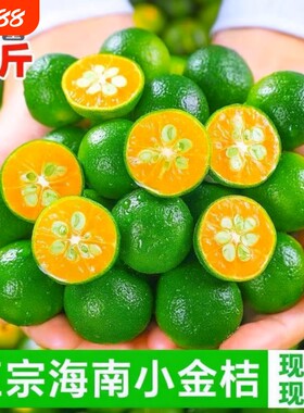 海南青金桔小青柠柠檬水果皮薄桔金橘奶茶专用应季水果泡水茶饮