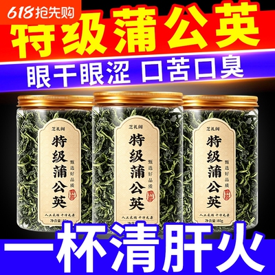 特级蒲公英茶上火清热解去肝火凉茶养肝护肝茶清热降排毒清火生茶