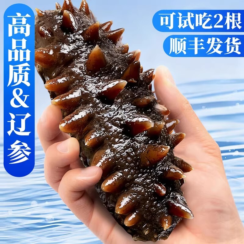 大连海参官方旗舰店即食独立包装袋辽参刺参海渗鲜活海鲜礼盒水产图片