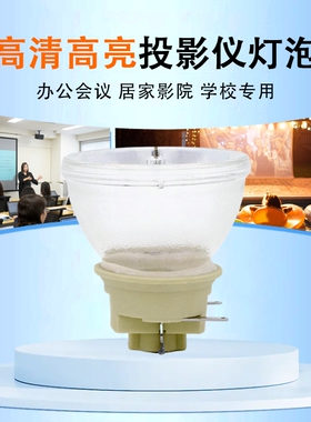 适用于ViewSonic优派投影仪PX747-4K/PG701WU/PX701HD/PX703HD/PX701HDE投影机灯泡RLC-119