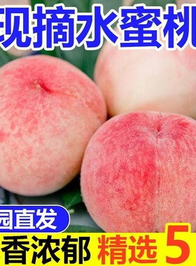 现摘水蜜桃脆蜜桃脆甜清香桃子新鲜脆桃现货当季孕妇毛桃