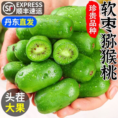新鲜软枣猕猴桃迷你圆枣子奇异莓