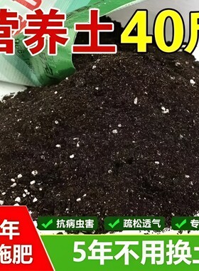 通用营养土育苗多肉养花种菜专用土养花土通用型土壤泥土花卉疏松