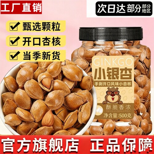 开口小白杏500g罐装原味新货大颗