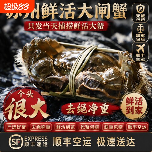 苏州鲜活大闸蟹公母4两10只礼盒