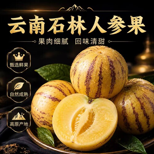 正宗云南石林人参果黄金果