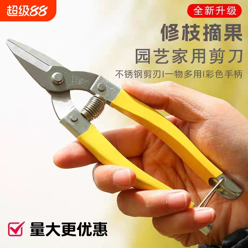 不锈钢修枝剪果剪园艺水刀采摘专用采钳桔剪枝器果树修剪摘果园林