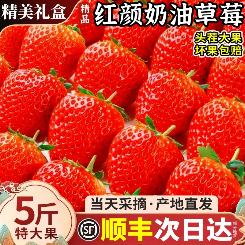 顺丰速达红颜奶油草莓新鲜水果当季现摘99礼盒装大凉山非丹东草莓,水产肉类/新鲜蔬果/熟食,草莓,淘宝优惠券,粉丝福利购,淘宝优惠卷