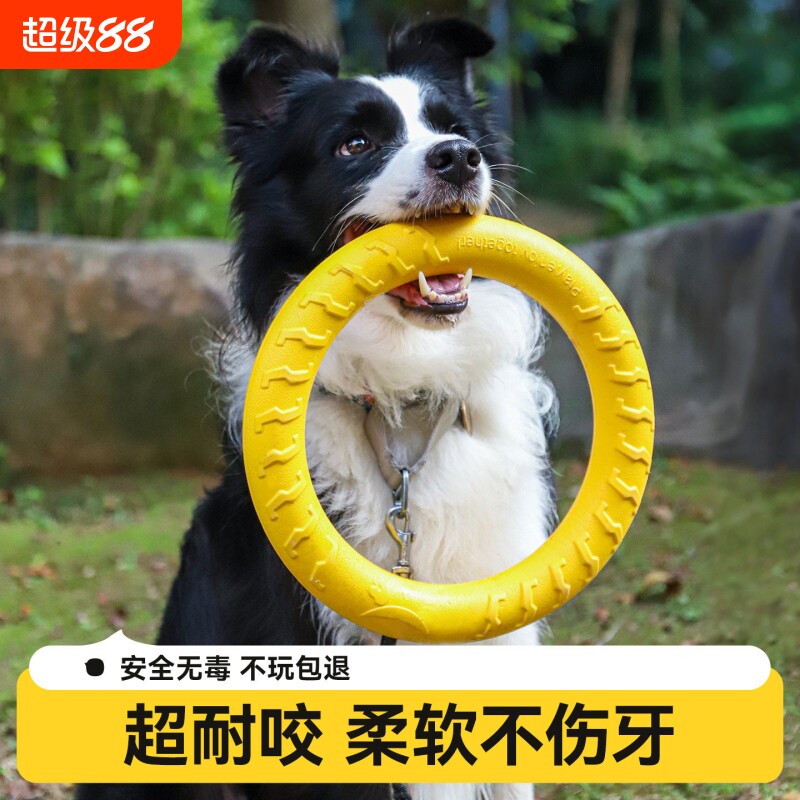 【全网热销100W】狗狗玩具拉力环图片