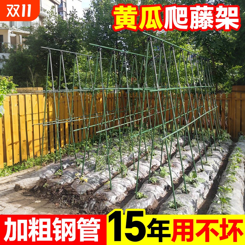 黄瓜爬藤架豆角架杆西红柿支撑杆