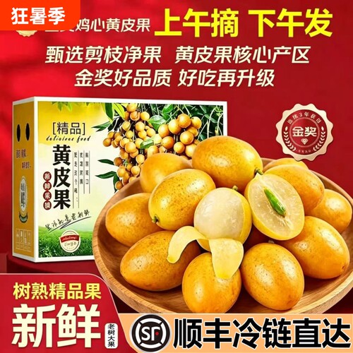 广东郁南黄皮果新鲜当季现摘现发