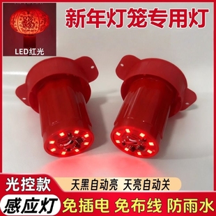 灯笼太阳能遥控led灯芯专用伴侣年货灯笼灯电池插电感应感光LED灯