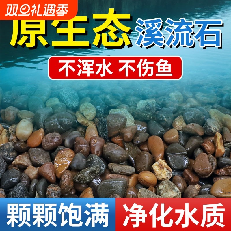 天然溪流石鹅卵石原生水族鱼缸水草缸多肉铺面小石子过滤豆石河砂
