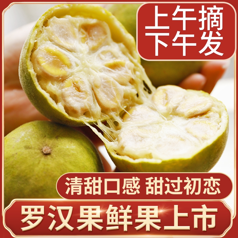 新鲜罗汉果鲜果生果永福黄金干果低温脱水冻干小包装广西桂林特产