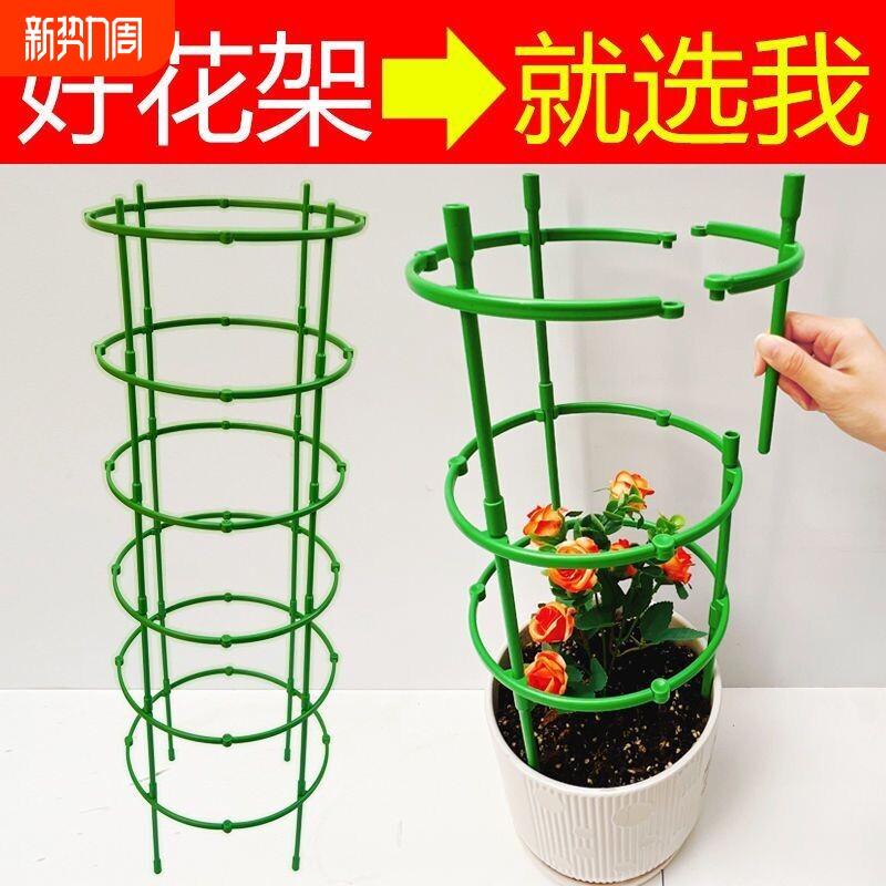 植物支撑杆园艺支架花架爬藤支架室内阳台户外绿萝蟹爪兰固定支架