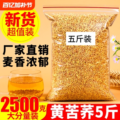 正品苦荞茶黄苦荞茶2500g特级四川大凉山5斤饭店专用冲泡新鲜烘焙