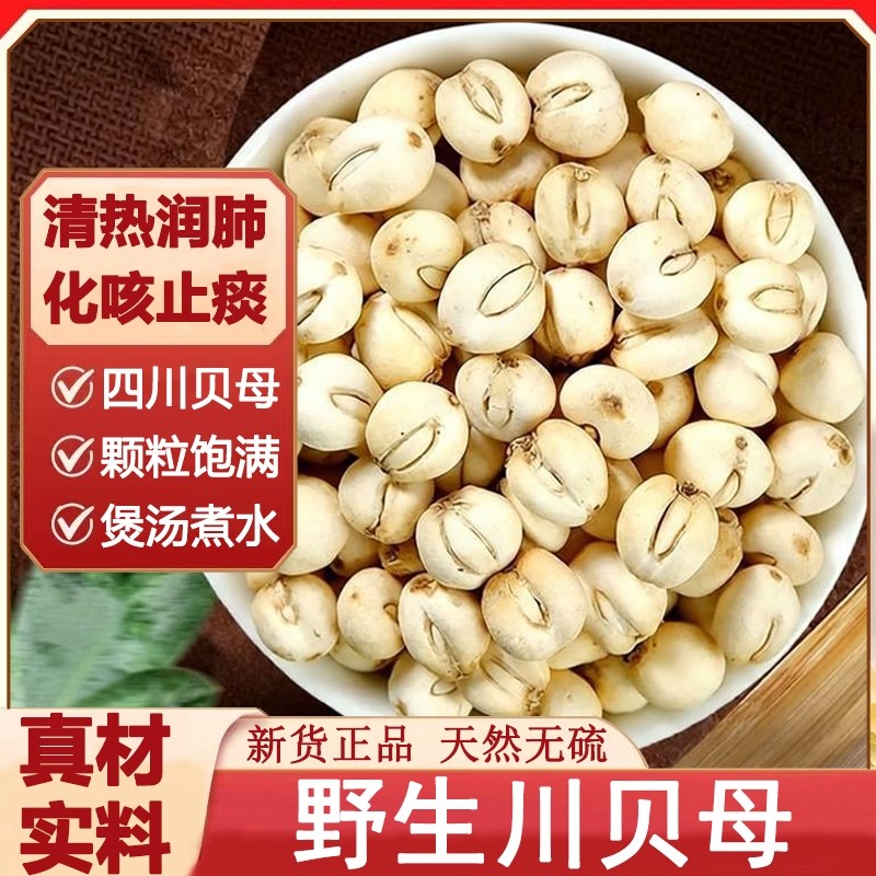 正宗川贝母炖汤中药材野生四川贝母搭雪梨百合化痰止咳甘草新货