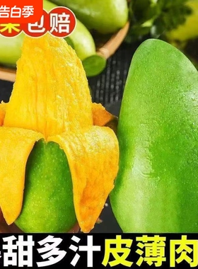 正宗云南现摘现发大青芒新鲜应季水果青皮金煌芒整箱批发超大芒果