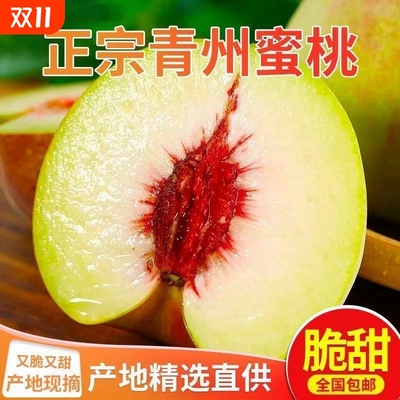 青州蜜桃山东水蜜桃特产新鲜时令水果当季现摘雪桃冬桃脆桃毛桃子