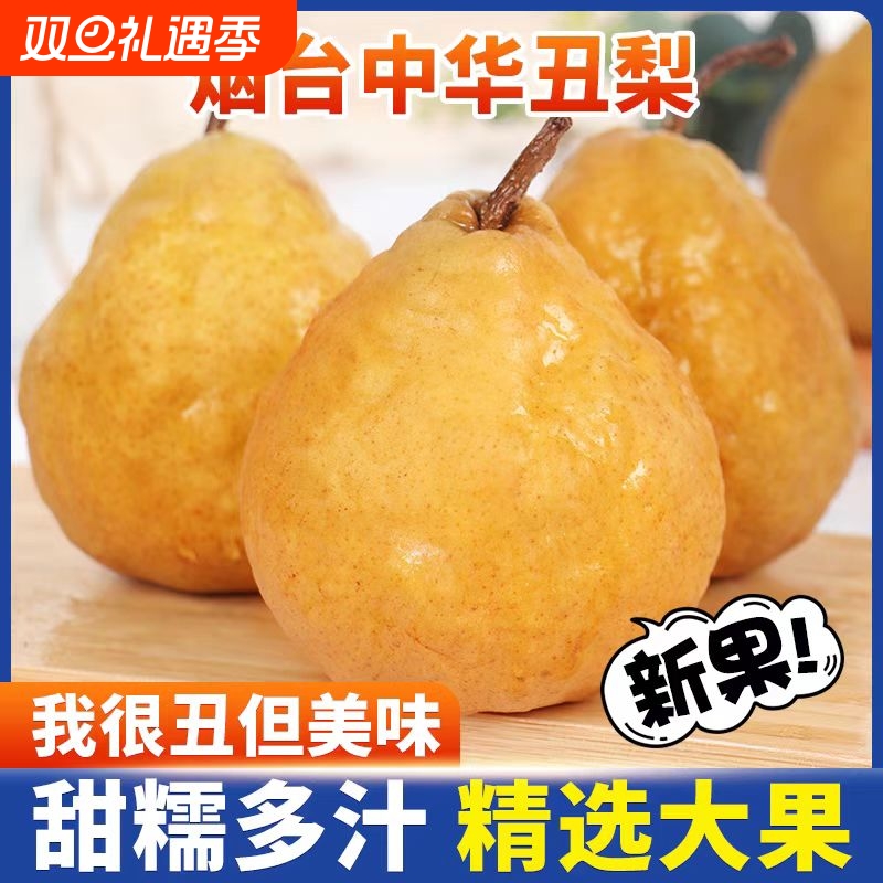 【2025新果】正宗烟台现摘丑梨