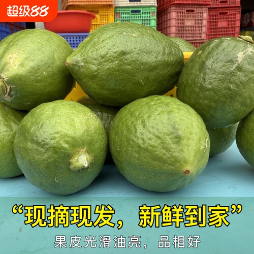 正宗广东香水柠檬新鲜一级果商用大果浓香苦瓜皮无籽青柠檬奶茶店