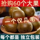 罗汉果干果独立包装 旗舰店广西桂林特产泡茶泡水喝大果花茶 正品