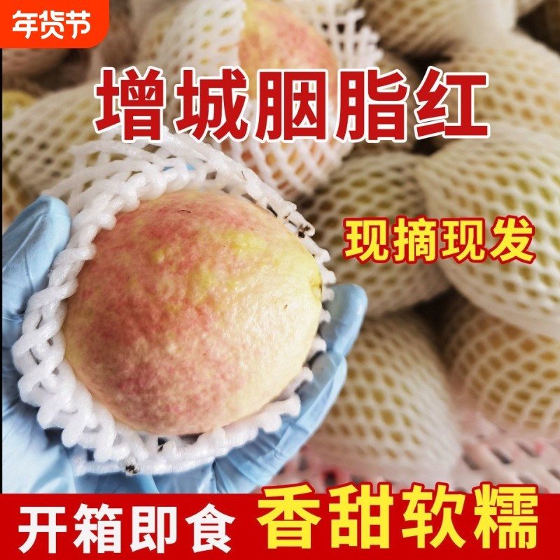 芭乐红心番石榴新鲜水果5斤当季软糯奶油胭脂红芭乐树熟大果包邮,水产肉类/新鲜蔬果/熟食,番石榴/芭乐,淘宝优惠券,粉丝福利购,淘宝优惠卷