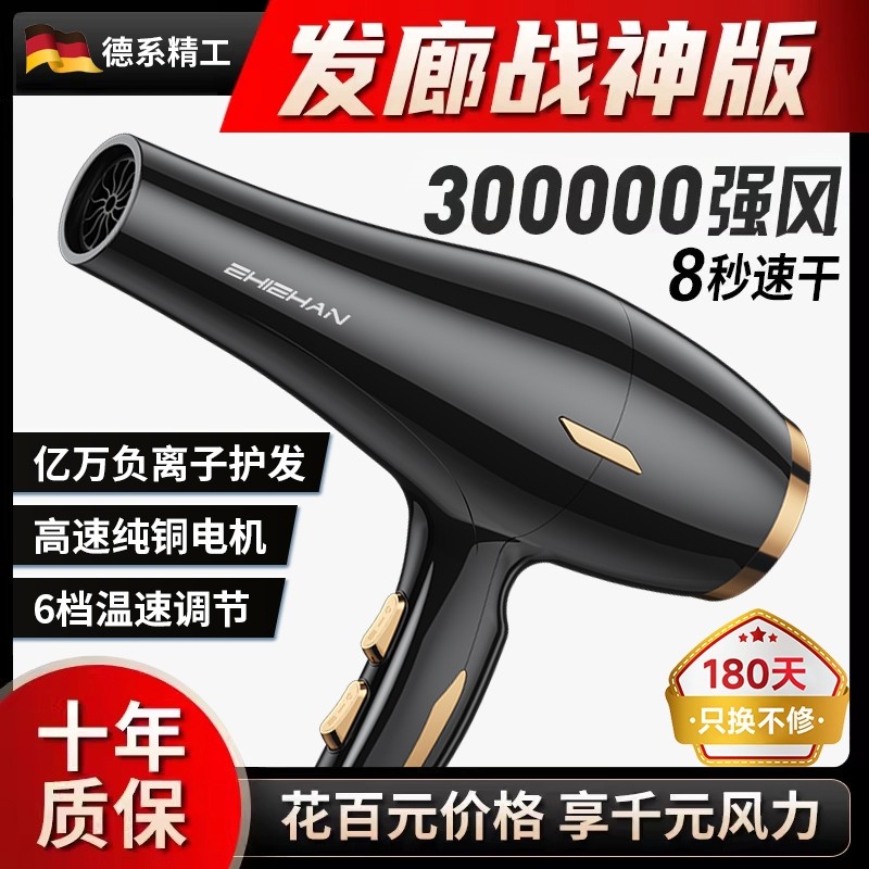 德国电吹风机家用理发店专用大功率发廊速干冷热风发型师推荐风筒