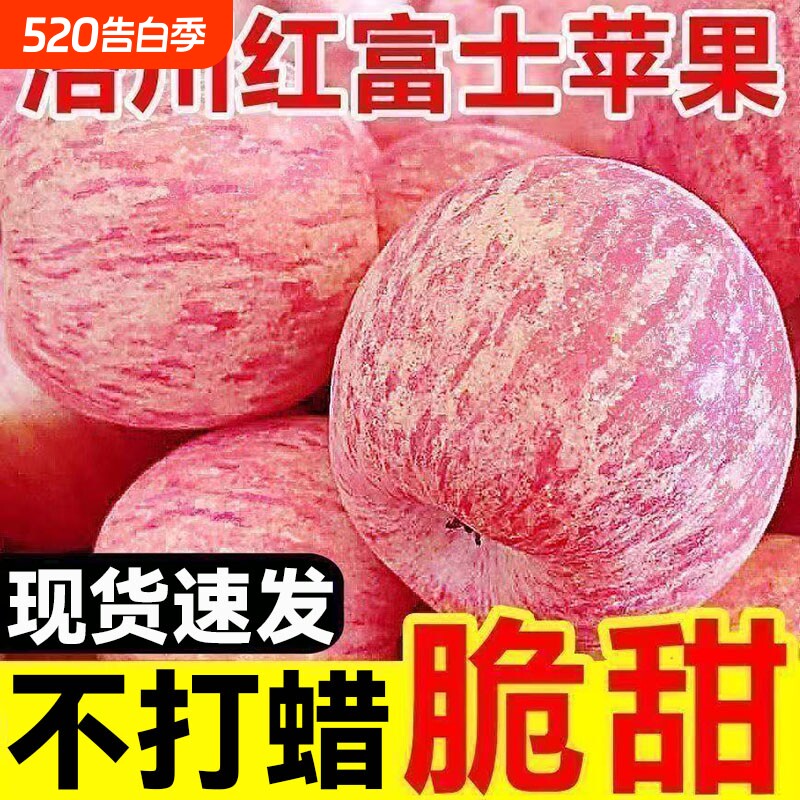 洛川正宗陕西红富士苹果新鲜水果当季脆甜丑苹果纸袋一整箱包邮
